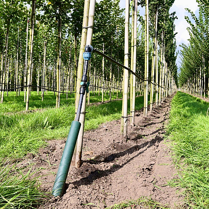 298 fertigatie systeem laanbomen